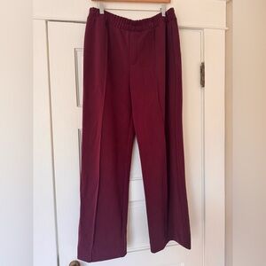 Burgundy Women's Pants Size L